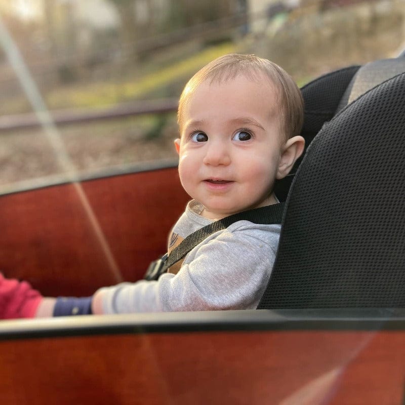 Toddler Seat - Image 3