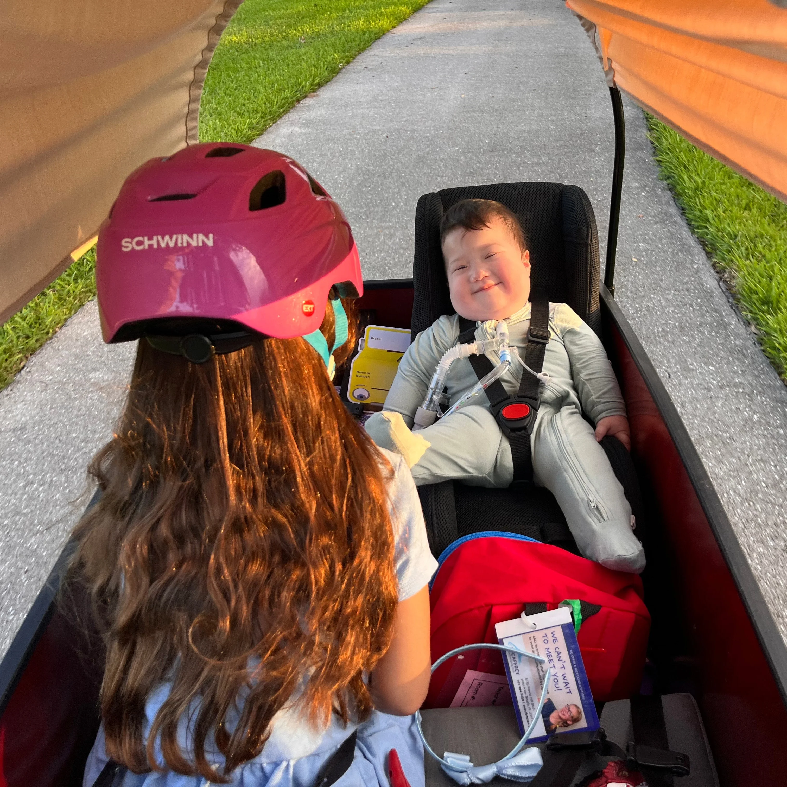Toddler Seat - Image 7