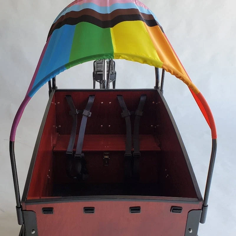 Pride Flag Sun Shade - Image 13