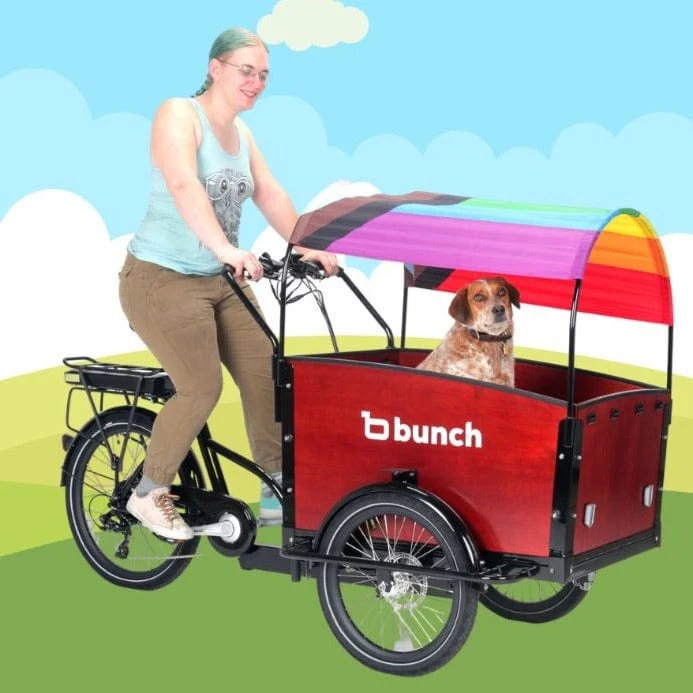 Pride Flag Sun Shade - Image 16