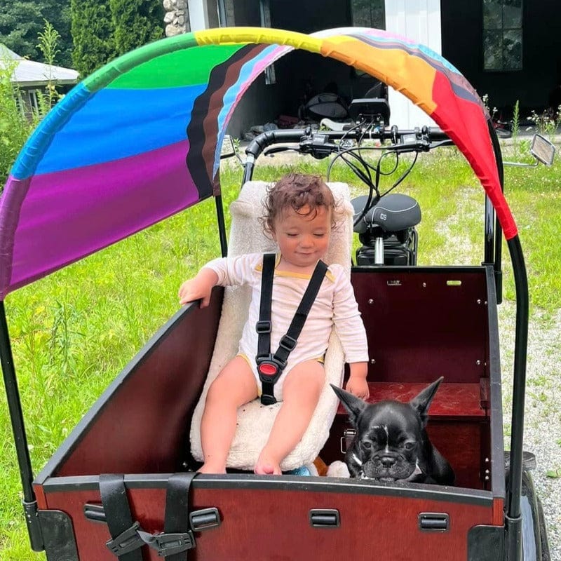 Pride Flag Sun Shade - Image 4