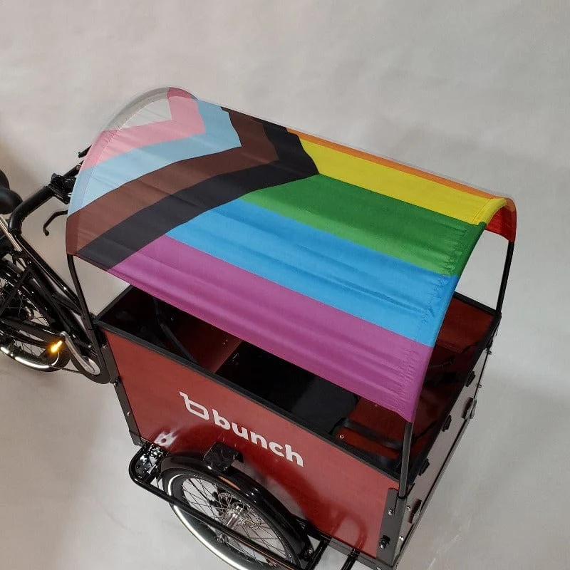 Pride Flag Sun Shade - Image 7