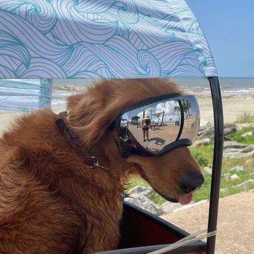 Sun Shades & Flags - Image 13