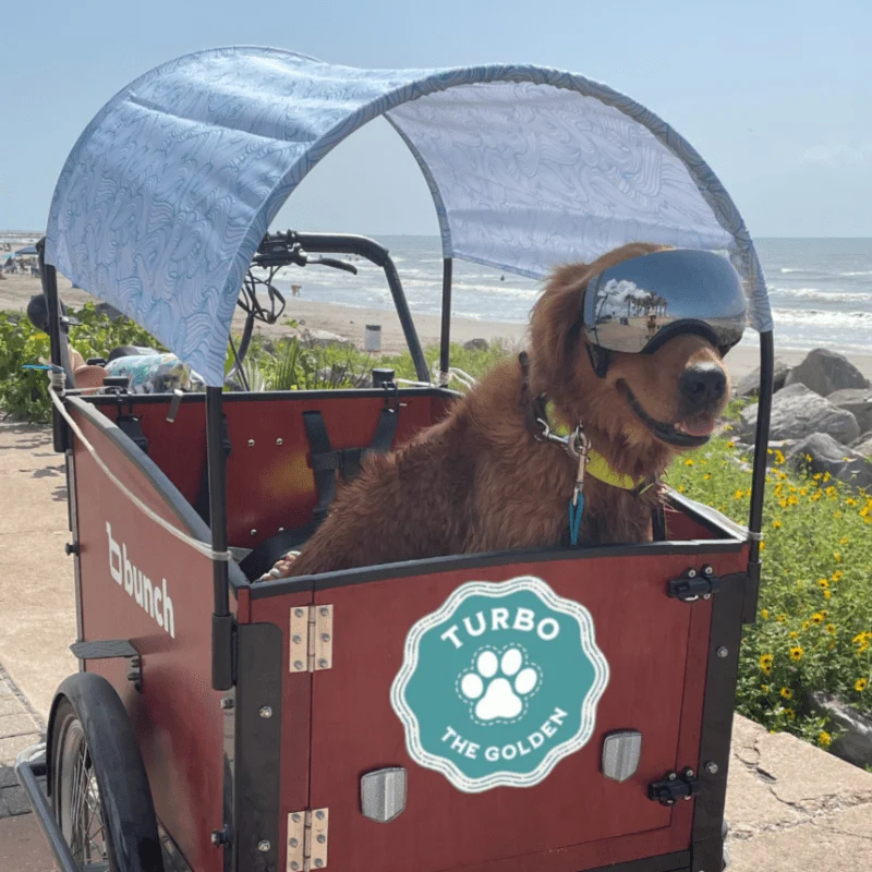 Sun Shades & Flags - Image 14